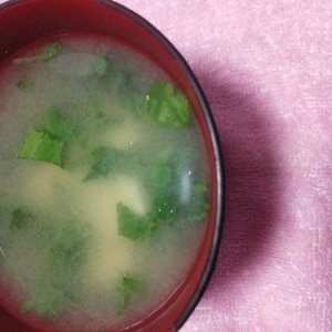 二十日大根の間引き菜味噌汁 レシピ 作り方 By 大福 あんこ 楽天レシピ 二十日大根の間引き菜味噌汁 レシピ 作り方 By 大福 あんこ 楽天レシピ